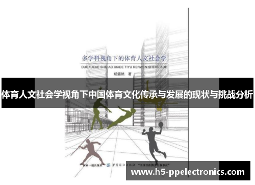 体育人文社会学视角下中国体育文化传承与发展的现状与挑战分析